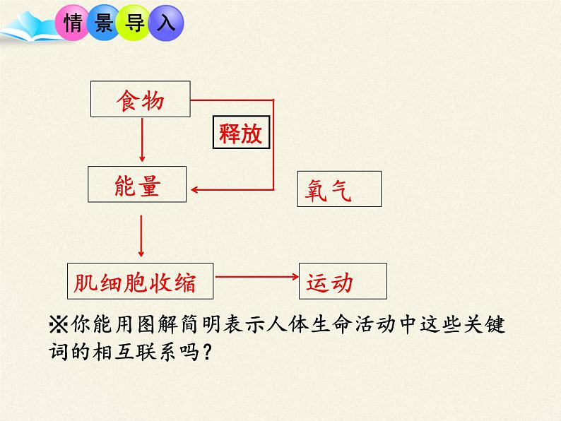 北师大版生物七年级下册 第10章 第1节 食物中能量的释放（课件）第3页