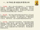 北师大版生物七年级下册 第8章 第1节 人类的食物(9)（课件）
