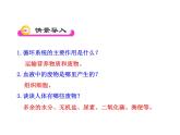 北师大版生物七年级下册 第11章 第1节 人体产生的代谢废物_（课件）