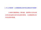北师大版生物七年级下册 第11章 第1节 人体产生的代谢废物_（课件）