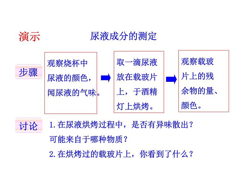 北师大版生物七年级下册 第11章 第1节 人体产生的代谢废物_（课件）05