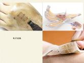 北师大版生物七年级下册 第11章 第3节 皮肤与汗液分泌(7)（课件）