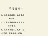 北师大版生物七年级下册 第11章 第3节 皮肤与汗液分泌(7)（课件）