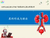 北师大版生物七年级下册 第11章 第2节 尿的形成与排出(10)（课件）