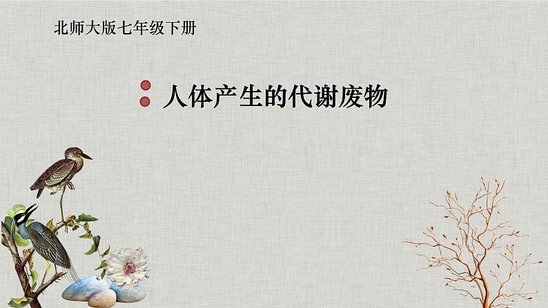 北师大版生物七年级下册 第11章 第1节 人体产生的代谢废物（北京师范大学出版社）（课件）第1页