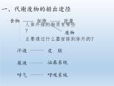 北师大版生物七年级下册 第11章 第1节 人体产生的代谢废物(17)（课件）
