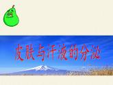 北师大版生物七年级下册 第11章 第3节 皮肤与汗液分泌(21)（课件）