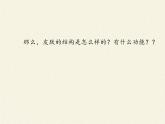 北师大版生物七年级下册 第11章 第3节 皮肤与汗液分泌(21)（课件）