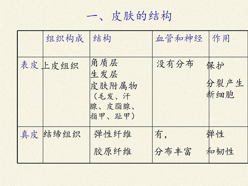 北师大版生物七年级下册 第11章 第3节 皮肤与汗液分泌(21)（课件）第7页