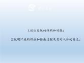 北师大版生物七年级下册 第11章 第3节 皮肤与汗液分泌(10)（课件）