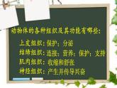 北师大版生物七年级下册 第11章 第3节 皮肤与汗液分泌(23)（课件）