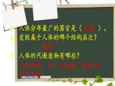 北师大版生物七年级下册 第11章 第3节 皮肤与汗液分泌(23)（课件）