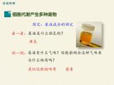 北师大版生物七年级下册 第11章 第1节 人体产生的代谢废物(14)（课件）