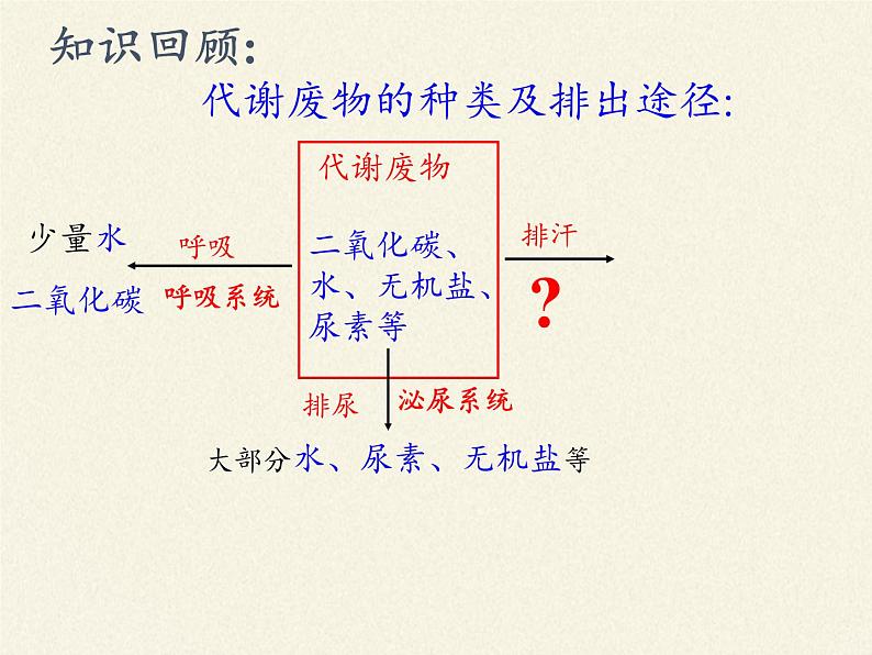 北师大版生物七年级下册 第11章 第3节 皮肤与汗液分泌(4)（课件）第2页