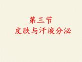 北师大版生物七年级下册 第11章 第3节 皮肤与汗液分泌(4)（课件）