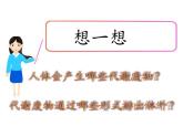 北师大版生物七年级下册 第11章 第1节 人体产生的代谢废物(5)（课件）