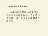 北师大版生物七年级下册 第11章 第1节 人体产生的代谢废物(8)（课件）