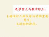 北师大版生物七年级下册 第11章 第1节 人体产生的代谢废物(7)（课件）