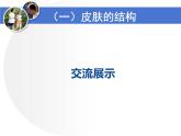 北师大版生物七年级下册 第11章 第3节 皮肤与汗液分泌（课件）
