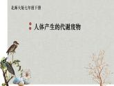 北师大版生物七年级下册 第11章 第1节 人体产生的代谢废物（北京师范大学出版社）(1)（课件）