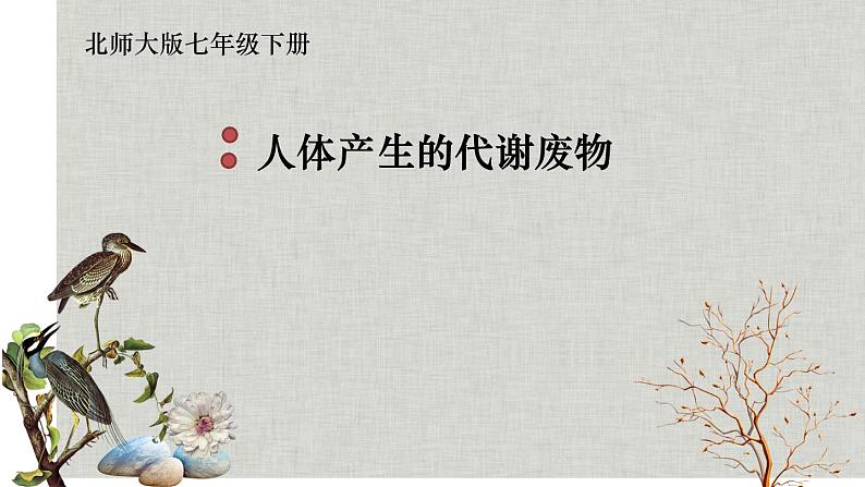 北师大版生物七年级下册 第11章 第1节 人体产生的代谢废物（北京师范大学出版社）(1)（课件）第1页