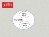北师大版生物七年级下册 第11章 第1节 人体产生的代谢废物（北京师范大学出版社）(1)（课件）