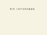 北师大版生物七年级下册 第11章 第1节 人体产生的代谢废物(6)（课件）