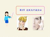 北师大版生物七年级下册 第11章 第3节 皮肤与汗液分泌(18)（课件）