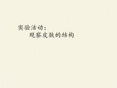 北师大版生物七年级下册 第11章 第3节 皮肤与汗液分泌(18)（课件）