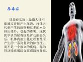 北师大版生物七年级下册 第11章 第1节 人体产生的代谢废物(1)（课件）
