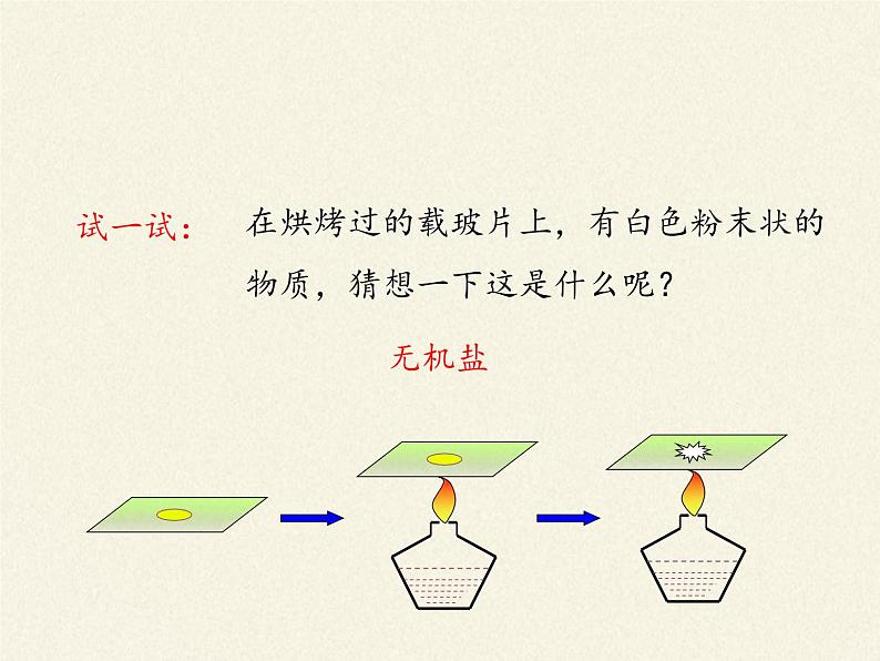 北师大版生物七年级下册 第11章 第1节 人体产生的代谢废物(1)（课件）第5页