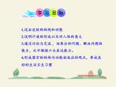 北师大版生物七年级下册 第11章 第3节 皮肤与汗液分泌(8)（课件）