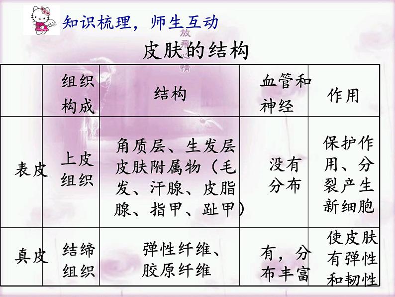 北师大版生物七年级下册 第11章 第3节 皮肤与汗液分泌(8)（课件）06