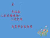 北师大版生物七年级下册 第11章 第1节 人体产生的代谢废物(13)（课件）