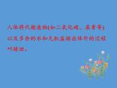 北师大版生物七年级下册 第11章 第1节 人体产生的代谢废物(13)（课件）