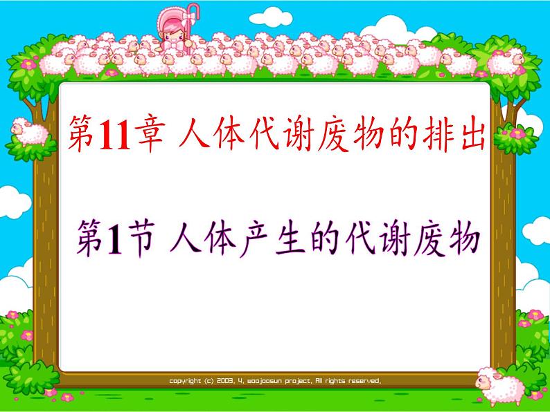 北师大版生物七年级下册 第11章 第1节 人体产生的代谢废物(11)（课件）第2页