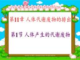 北师大版生物七年级下册 第11章 第1节 人体产生的代谢废物(9)（课件）