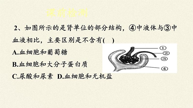 北师大版生物七年级下册 第11章 第2节 尿的形成与排出(16)（课件）第4页