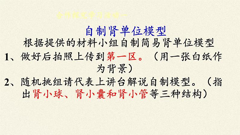 北师大版生物七年级下册 第11章 第2节 尿的形成与排出(16)（课件）第6页