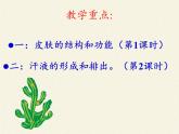 北师大版生物七年级下册 第11章 第3节 皮肤与汗液分泌(17)（课件）