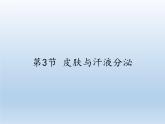 北师大版生物七年级下册 第11章 第3节 皮肤与汗液分泌(9)（课件）