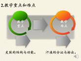 北师大版生物七年级下册 第11章 第3节 皮肤与汗液分泌(5)（课件）
