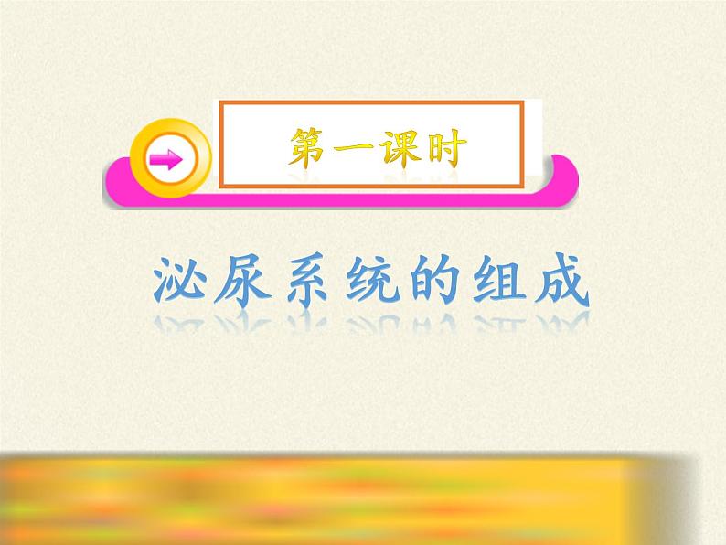 北师大版生物七年级下册 第11章 第2节 尿的形成与排出(12)（课件）第3页