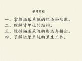 北师大版生物七年级下册 第11章 第2节 尿的形成与排出(5)（课件）
