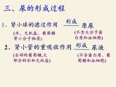 北师大版生物七年级下册 第11章 第2节 尿的形成与排出(5)（课件）