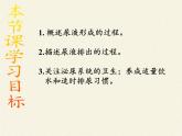 北师大版生物七年级下册 第11章 第2节 尿的形成与排出（课件）