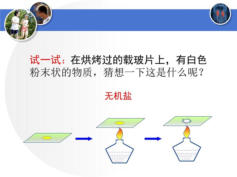 北师大版生物七年级下册 第11章 第1节 人体产生的代谢废物(1)（课件）第3页