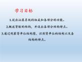 北师大版生物七年级下册 第11章 第2节 尿的形成与排出(14)（课件）