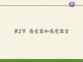 北师大版生物七年级下册 第12章 第2节 感受器和感觉器官（课件）