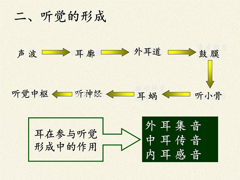 北师大版生物七年级下册 第12章 第2节 感受器和感觉器官（课件）第8页